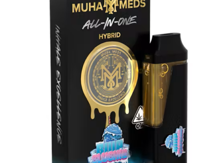 Blue Slushie All in One