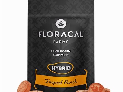FloraCal Hybrid Live Rosin Tropical Punch Gummies