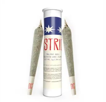 district-cannabis-devil-driver-hash-infused-pre-roll-pack-2ct-1.webp District Cannabis | Devil Driver Hash-Infused Pre-Roll Pack 2ct - Image 1