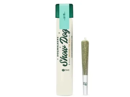 Dogwalkers Rainbow Zlushie Infused Single Pre Roll