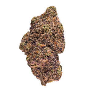 Lilac Cookies BX2 #573 Popcorn Flower