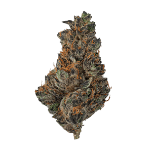 Lilac Cookies BX2 Flower